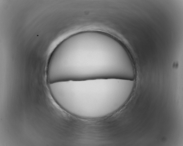 X0000111221512200907020947
