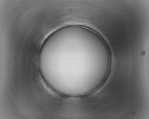 X0000111221513200907020947
