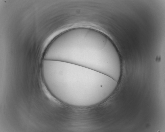 X0000111221515200907020947