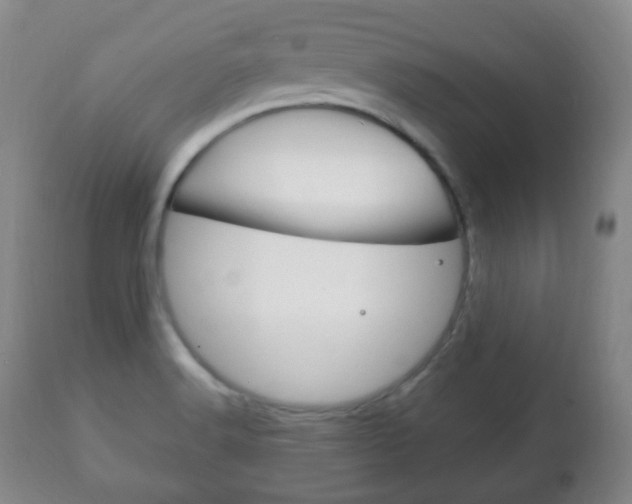 X0000111221516200907020947