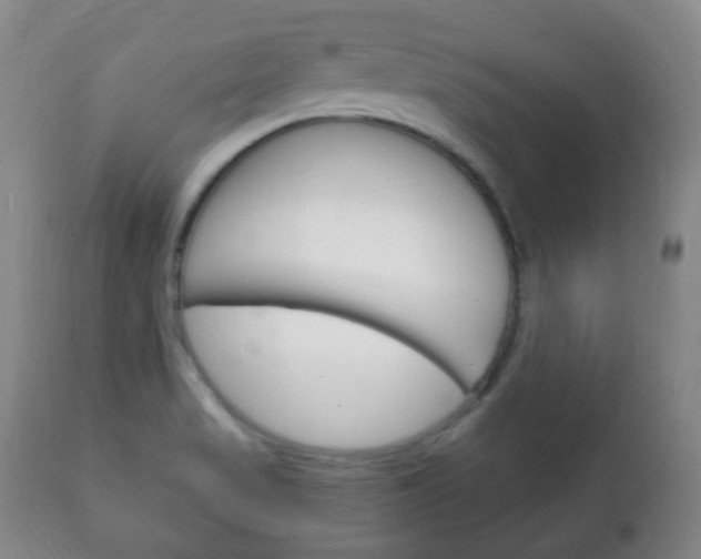 X0000111221517200907020947