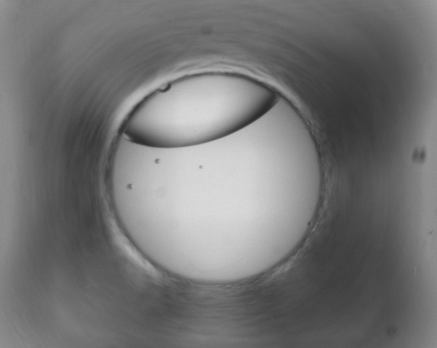 X0000111221518200907020947