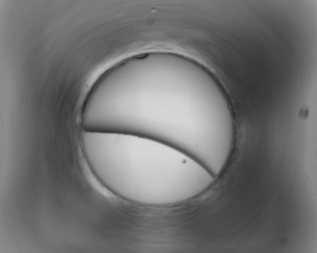X0000111221519200907020948