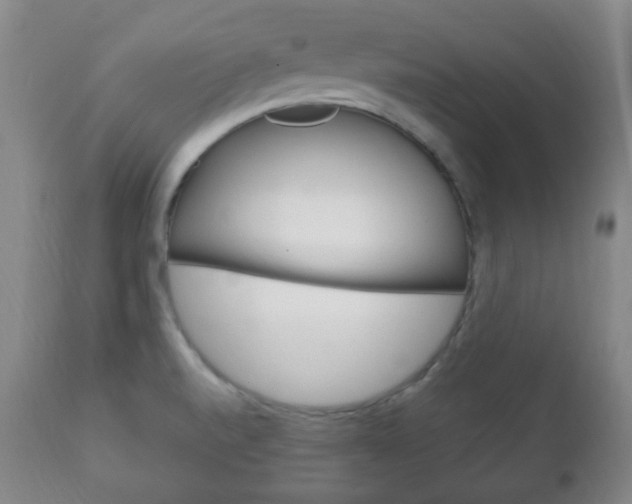 X0000111221520200907020948
