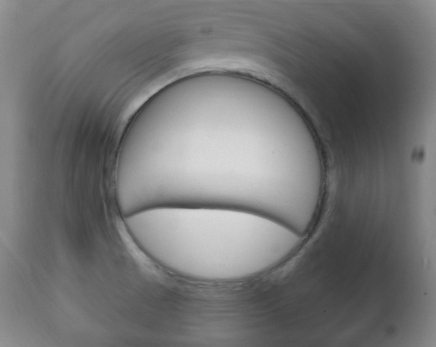 X0000111221521200907020948