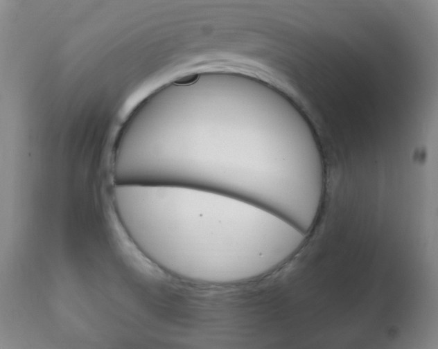 X0000111221522200907020948