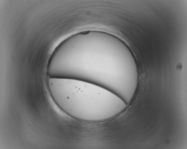 X0000111221523200907020948