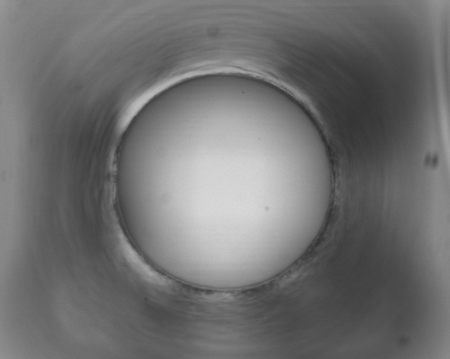 X0000111221524200907020948