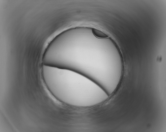 X0000111221525200907020948