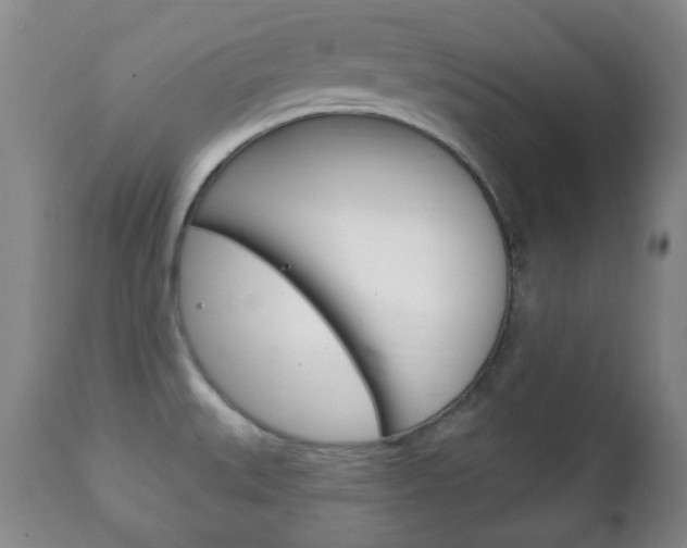 X0000111221527200907020948