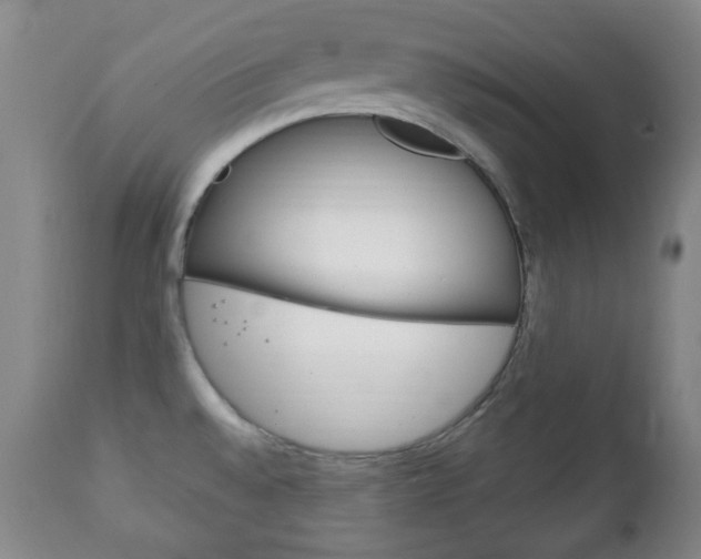 X0000111221528200907020948