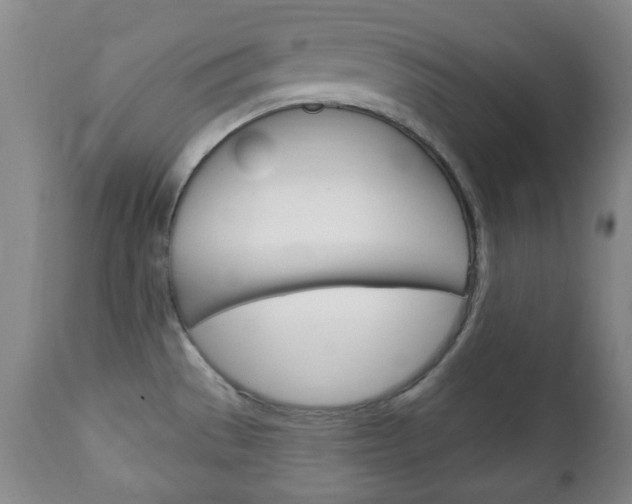 X0000111221529200907020948