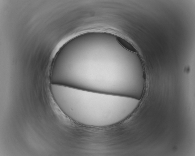 X0000111221530200907020948