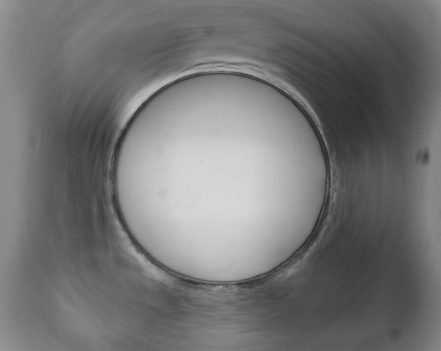 X0000111221533200907020948