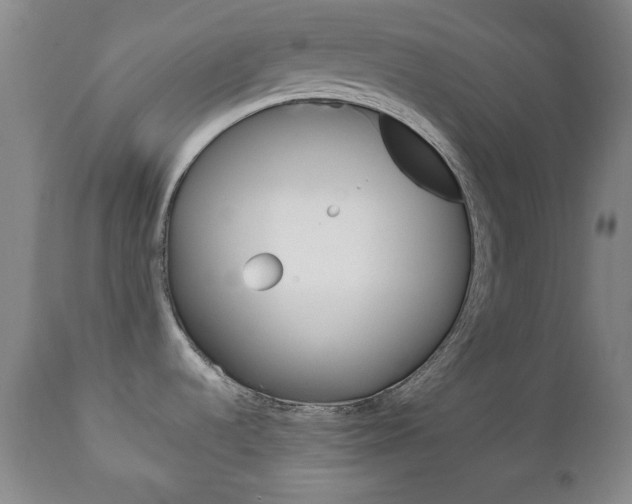 X0000111221536200907020948