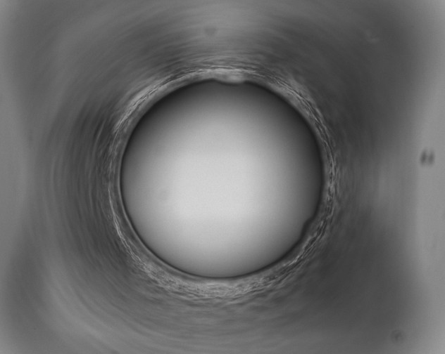 X0000111220001200907021346