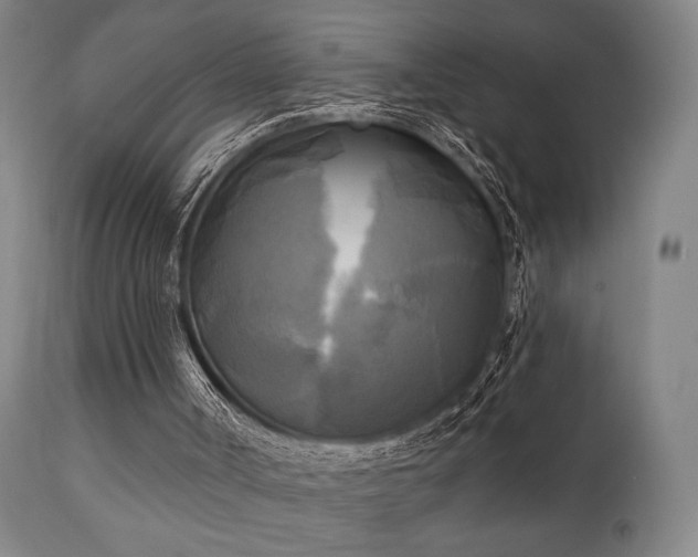 X0000111220002200907021346