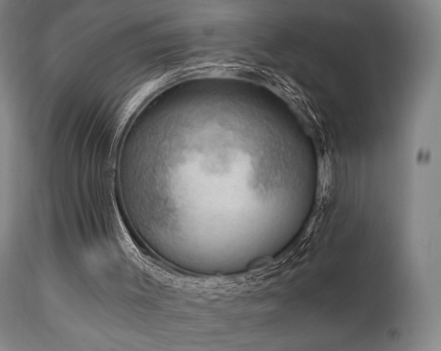 X0000111220003200907021346