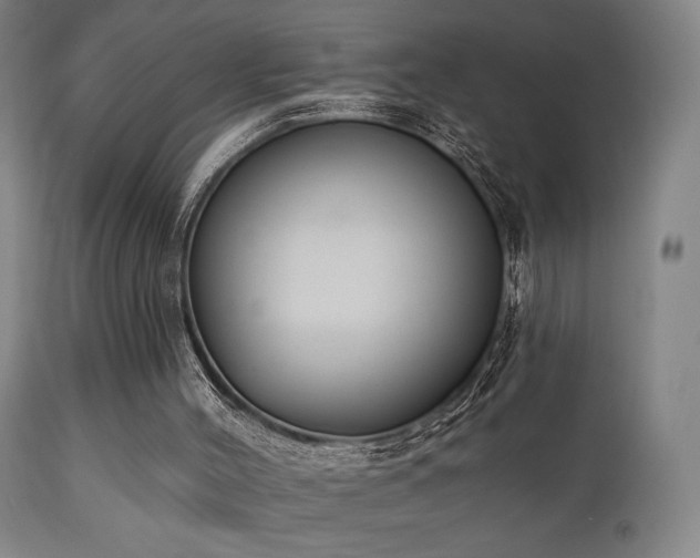 X0000111220004200907021346