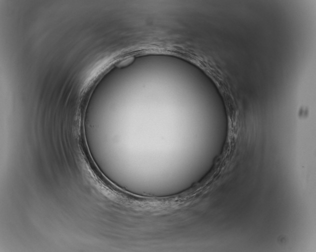 X0000111220005200907021346