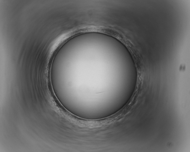 X0000111220006200907021346