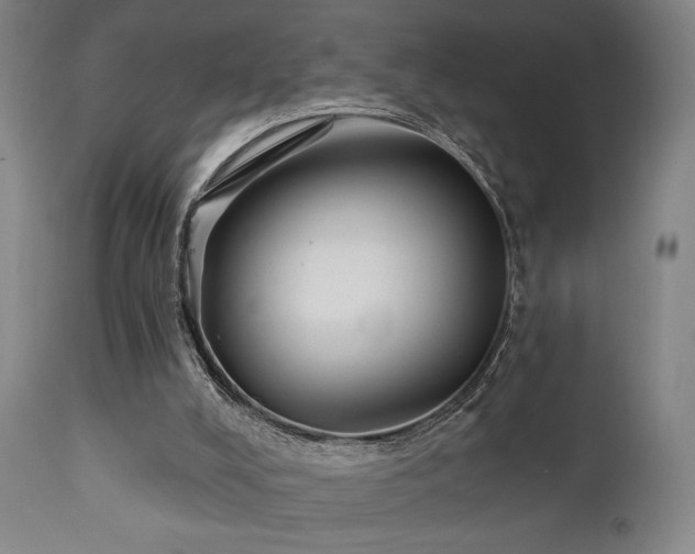 X0000111220008200907021346