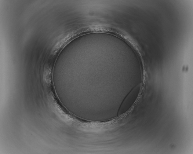 X0000111220009200907021346
