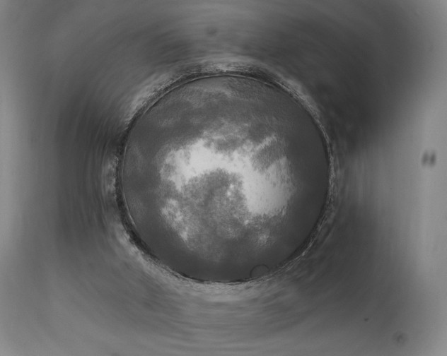 X0000111220010200907021346