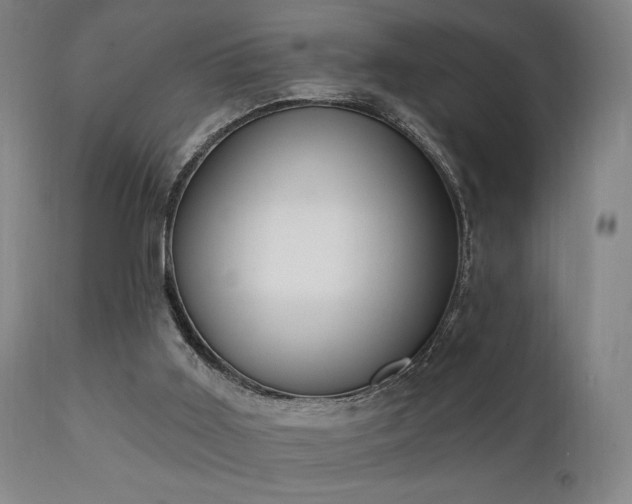 X0000111220011200907021346