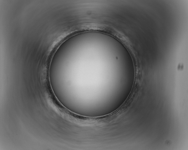 X0000111220012200907021346