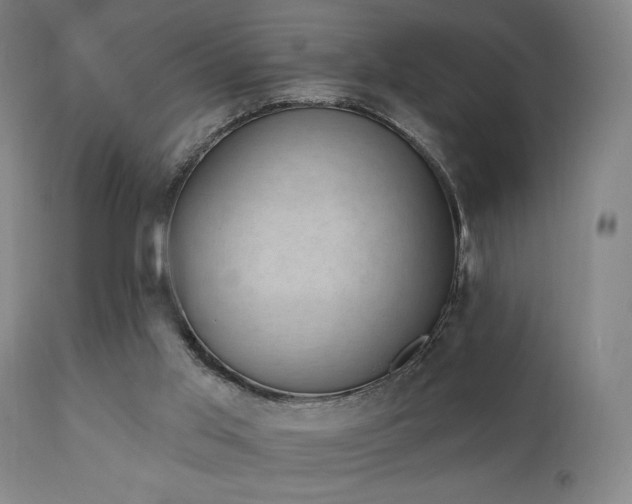 X0000111220013200907021346