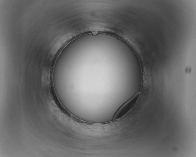 X0000111220015200907021346