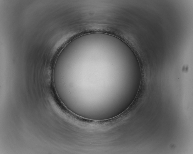 X0000111220016200907021346