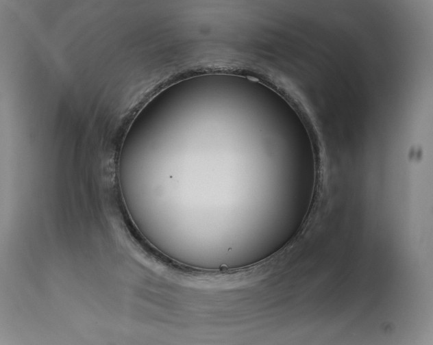 X0000111220017200907021346