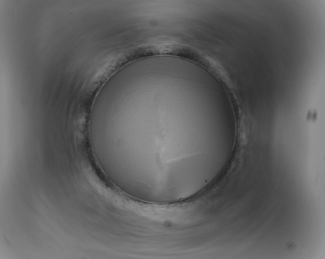 X0000111220018200907021346