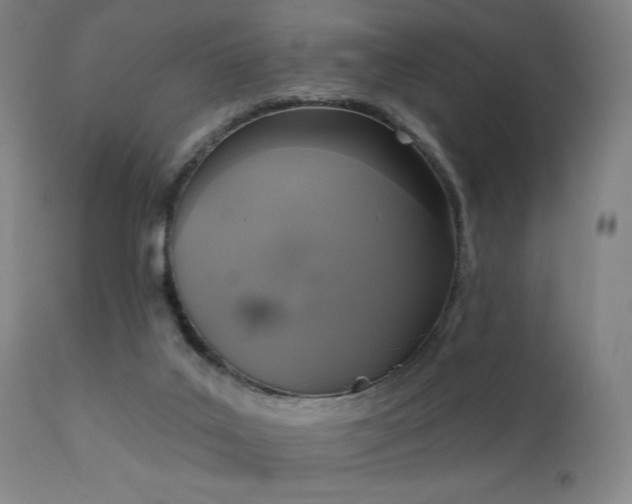 X0000111220019200907021346