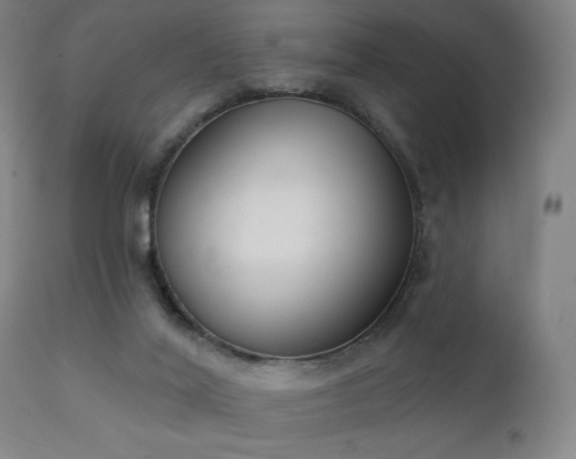 X0000111220020200907021346