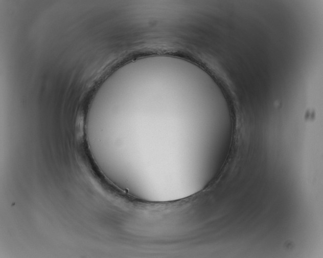 X0000111220021200907021346