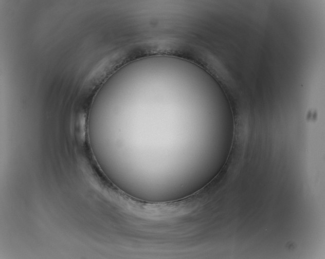X0000111220022200907021346