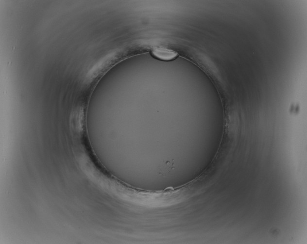 X0000111220023200907021346