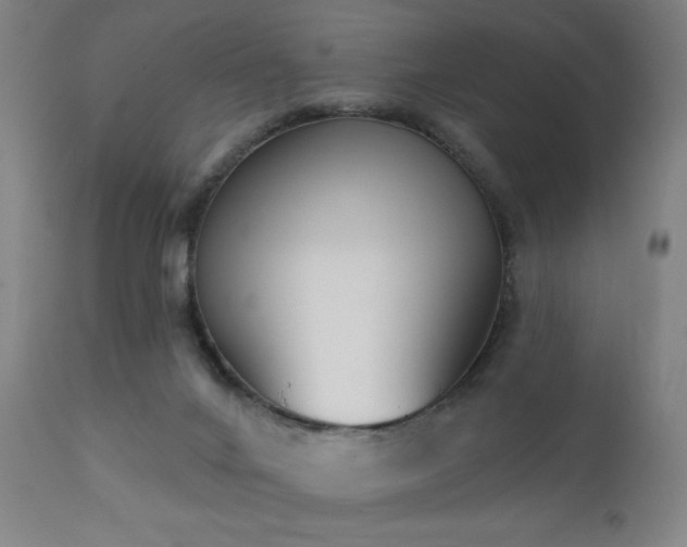 X0000111220024200907021346