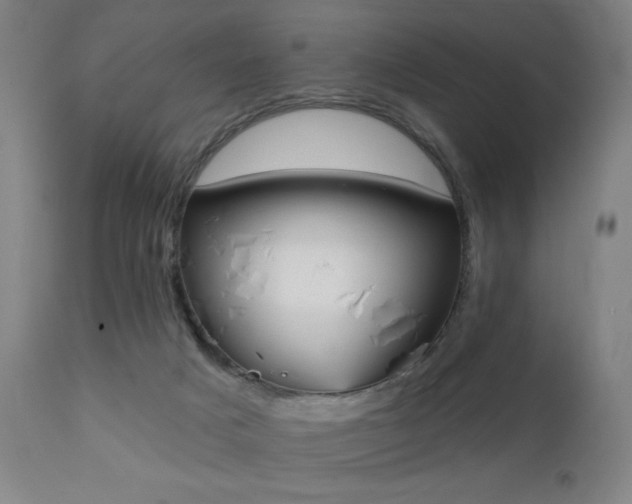 X0000111220025200907021346
