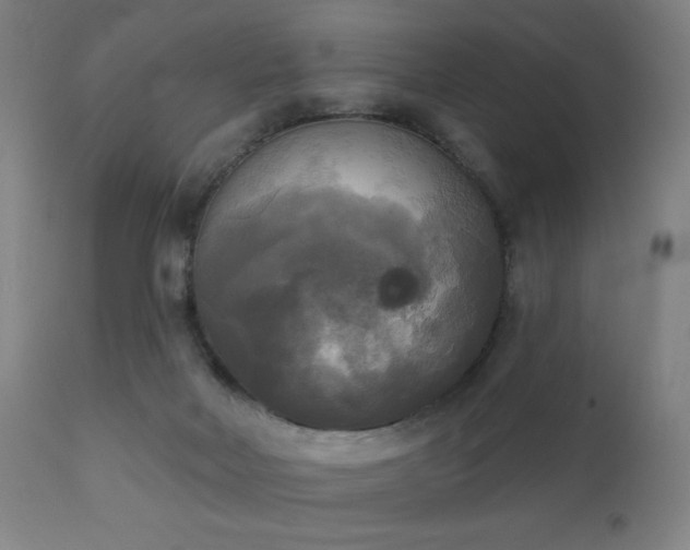 X0000111220026200907021346