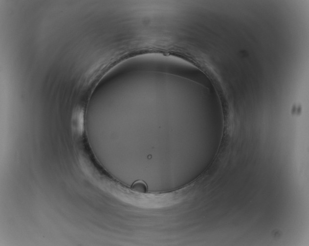 X0000111220027200907021346