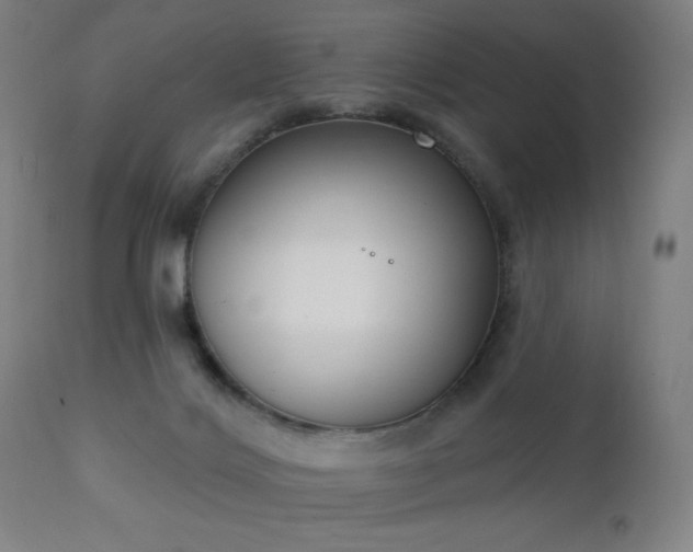 X0000111220028200907021346