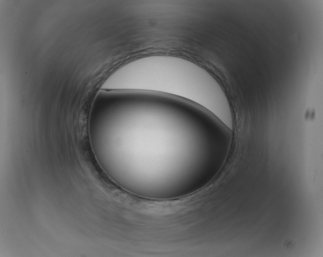X0000111220029200907021346