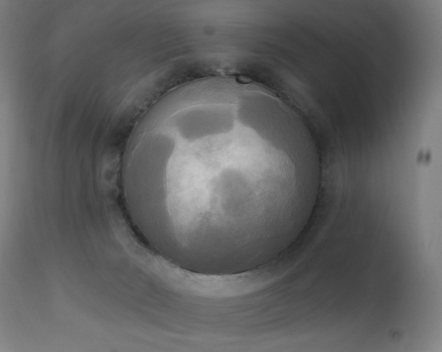 X0000111220030200907021346