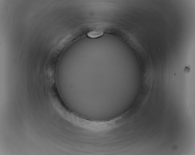 X0000111220031200907021346