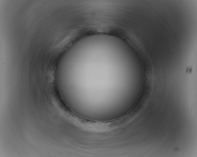 X0000111220032200907021346