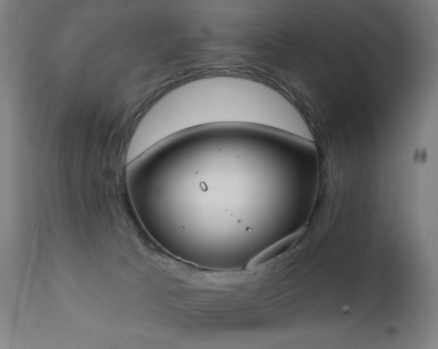 X0000111220033200907021346